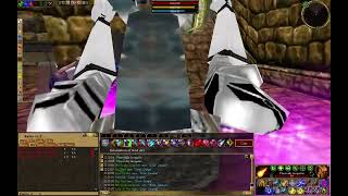 Asherons Call PVP 2023 Luminance arena fights [upl. by Wickham]