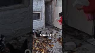 Okul öncesi rutin 🐔 🐓🐤 keşfet bebekşarkıları animasyon çillihorozum eğiticivideo [upl. by Dhiman]