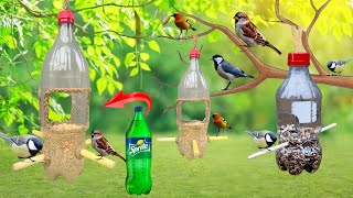 How to make bird feeder from plastic bottle Bird feeder ideas diy how to make bird feeder at home [upl. by Araldo]