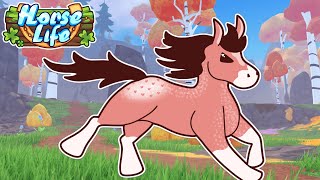 Running NEW HORSE RACES amp Completing NEW DELIVERY QUESTS in HORSE LIFE on ROBLOX [upl. by Olenka]