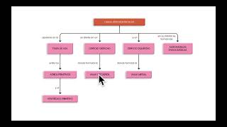 EMBRIOLOGIA VALVULAS CARDIACAS PARTE 1 [upl. by Neetsirhc]