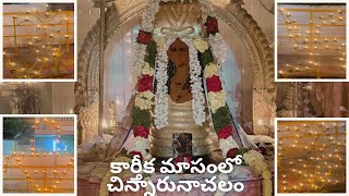 Kartika Masam special harati at Chinna arunachalam manjuvanibcm bhadrachalam [upl. by Lurleen]