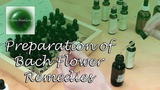 How to Prepare Bach Flower Remedies Green Healing S3E2 [upl. by Atnwahsal]