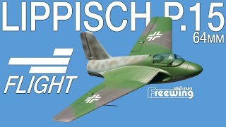 Revisiting the Freewing Lippisch P15 64mm EDF Jet  Motion RC Flight [upl. by Pat75]