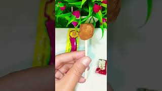 Dairy Milk Lolly amp Chupa Chups Popsicle🍡🍭 😍 shortsvideo asmr viral ytshorts trending 1k [upl. by Annahsit253]