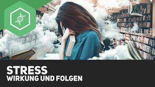 Stress  Wirkung und Folgen [upl. by Ydeh535]