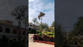 Gurudwara✨Janam Asthan💞Nankana Sahib🙏🏻 explore ytshorts travel nanakanasahib gurdwara [upl. by Leoine]