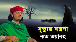 মৃত্যুর যন্ত্রণা কত ভয়াবহ । Qari Shamim Reza waz 2024 [upl. by Eimrej]