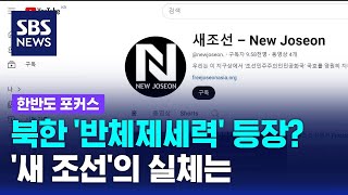 북한에 반체제세력 등장…새 조선의 실체는 안정식 SBS 북한전문기자  SBS  한반도포커스 [upl. by Elana]