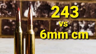 243 vs 6mm creedmoor [upl. by Egwan]