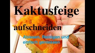 Kaktusfeigen ernten und aufschneiden und essen [upl. by Uela]