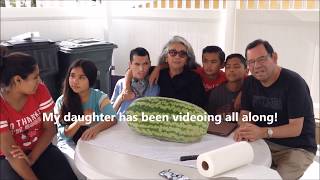 A Big Surprise When We Open Our 106 Day carolina Cross Watermelon 183 [upl. by Enidanreb]