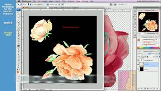 Photoshop Tutorial for Fashion Design 0824 Tools  Retouching Darkroom [upl. by Sergias]