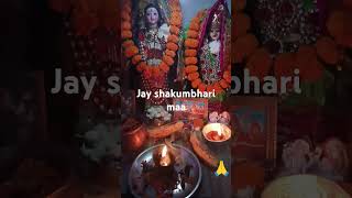 Savan ki rut hai aaja man Mata Rani bhajan short video [upl. by Eserahc]