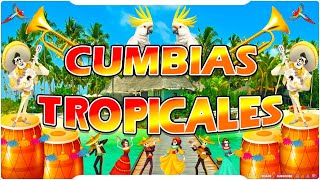 CUMBIAS TROPICALES MIX PARA BAILAR✨💃CUMBIAS TROPICAL🌴🍹TROPICAL FLORIDAALEX BARJUNIOR KLANEL NEGRO [upl. by Innep]