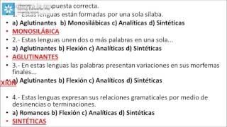 CLASIFICACACIÓN DE LAS LENGUAS [upl. by Ttenna479]