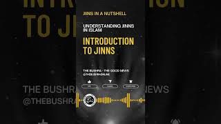 Jinns in Islam Introduction to Jinns  Jinns in a Nutshell [upl. by Sine]