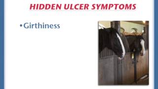 Hidden symptoms of horse ulcers [upl. by Devin]