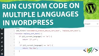 How to Apply Custom Code on Multiple  Different Languages in WordPress  Polylang  Custom Snippet [upl. by Yarahs]