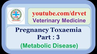 Pregnancy Toxaemia Part 3 [upl. by Adnohs]