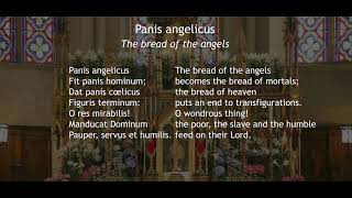 Panis Angelicus  Hymn Lambillotte [upl. by Virge]