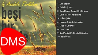 Soner Soyer  Hastane Önünde İncir Ağacı  İç Anadolu Türküleri © 2010 DMS Müzik [upl. by Earej]