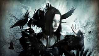 KAMELOT quotSilverthorn Trailerquot  New Album 2012 [upl. by Ilhsa]