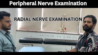 Radial Nerve Examination  Wrist Drop [upl. by Crawford106]