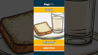 🇬🇧🇸🇰 lousy  mizerný  vocabulary builder  learn English  naučme sa anglicky [upl. by Gothard]