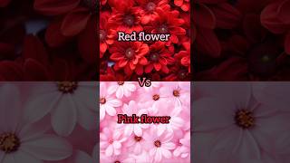 Red flower🌹❤️vs pink flower 🌷💖gown👗heels👠nail💅lipstick💄watch⌚ring💍cake🎂shortsviral [upl. by Medrek]