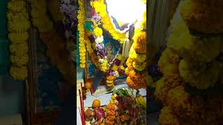 laxmipuja pannuvlogs pannu shorts [upl. by Esorrebma868]