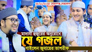 মাদানী হুজুরের অনুরোধে যে গজল গাইলেন।জুবায়ের আহমদ তাশরীফ।Qari Jubayer Ahmad Tasrif New Gojol 2024 [upl. by Oiluarb]