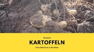 Kartoffeln  Vom Feld frisch in die Filiale  Kooperation mit Aldi Süd  Werbung  Natürlich Lecker [upl. by Laura]