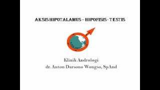 Aksis Hipotalamus Hipofisis Testis by Klinik Andrologi dr Anton Darsono Wongso SpAnd [upl. by Akoyin]