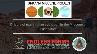 Drivers of mammalian evolution in the Miocene of eastern Africa [upl. by Ailadi]