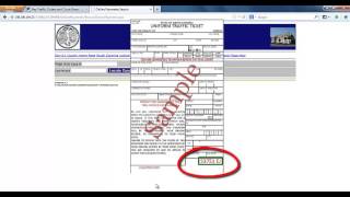 SCgov Traffic Ticket Payment Tutorial [upl. by Sacul613]