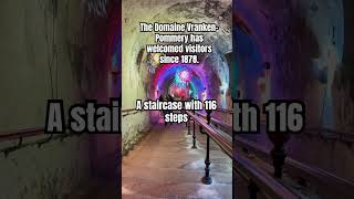 The Domaine VrankenPommery A staircase with 116 steps share shorts travel subscribe amazing [upl. by Jun]