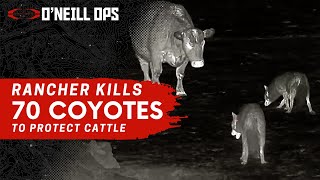 Rancher takes care of big Predator problem  70 Coyotes Down [upl. by Joan142]