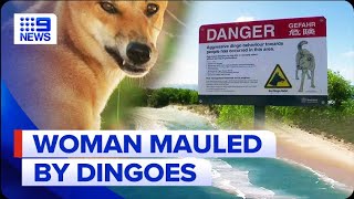 Woman in hospital after being ‘chased into ocean’ by dingoes  9 News Australia [upl. by Nivrae]