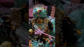 Laddu gopal ka itna pyara video phle nhi dekha hogaradhe radhe vrindavan love [upl. by Esme]