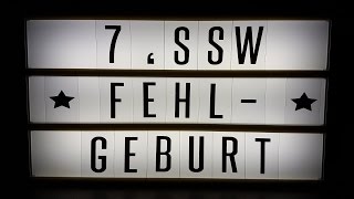 7 SSW ★ Fehlgeburt ★ Natürlicher Abgang ★ Storytime ★ AnnCooki [upl. by Heyman]