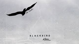 Ellem  Blackbird Cover Audio [upl. by Ydnew101]