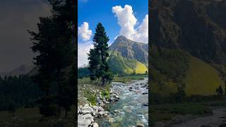 Road to deosai from Minimarg mountains pakistan skardu shortvideos minimarg ytshorts shorts [upl. by Arlee]