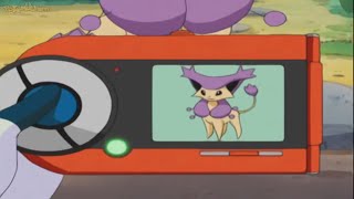 Pokedex 301 Delcatty [upl. by Malim]