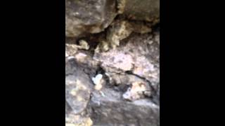 repairing my foundation part 7 filling deep joints with lime mortar [upl. by Zeta691]