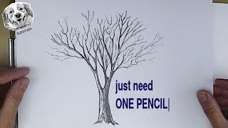 Drawing Course 1 How to Draw a Tree with Just ONE Pencil [upl. by Dachi]