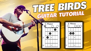 Tree Birds Dylan Gossett Guitar Tutorial [upl. by Ahsitahs170]