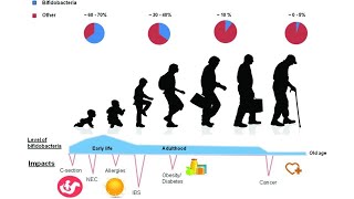 Prebiotics that Make You Young and Healthy health aging longevity prebiotics lactulose guts [upl. by Eduino]