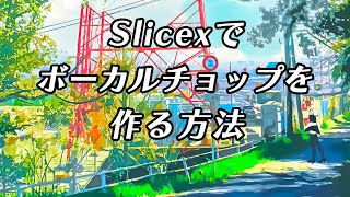 【FLStudio】Slicexでボーカルチョップを作る方法 [upl. by Rosa]