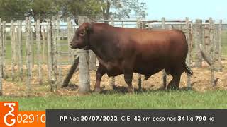 TORO 02910 PP [upl. by Schwing680]